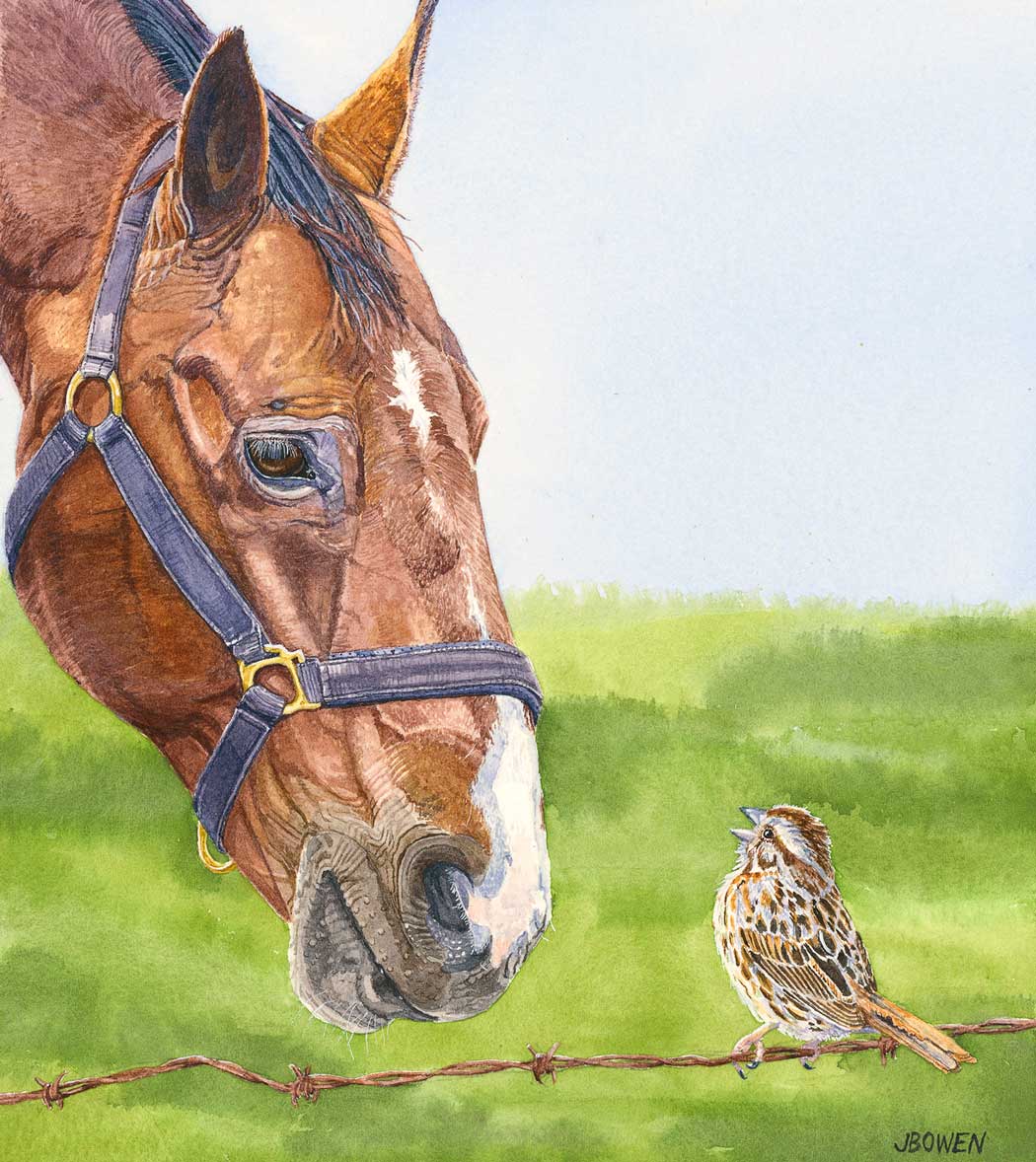 “Neighbours – Horse and Song Sparrow”