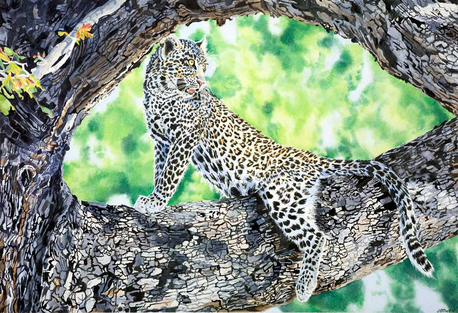 “Watchful One – Leopard”